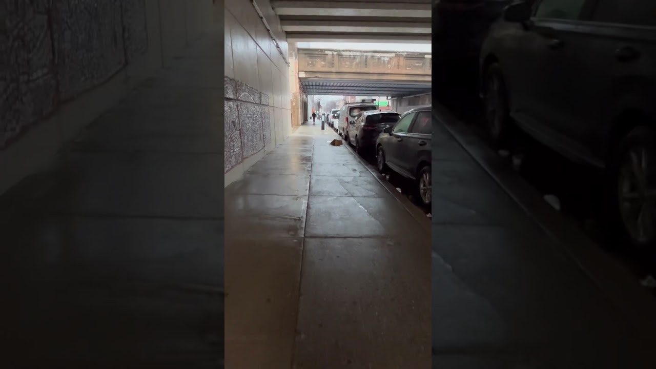 🌧️ Rainy day walks during work 