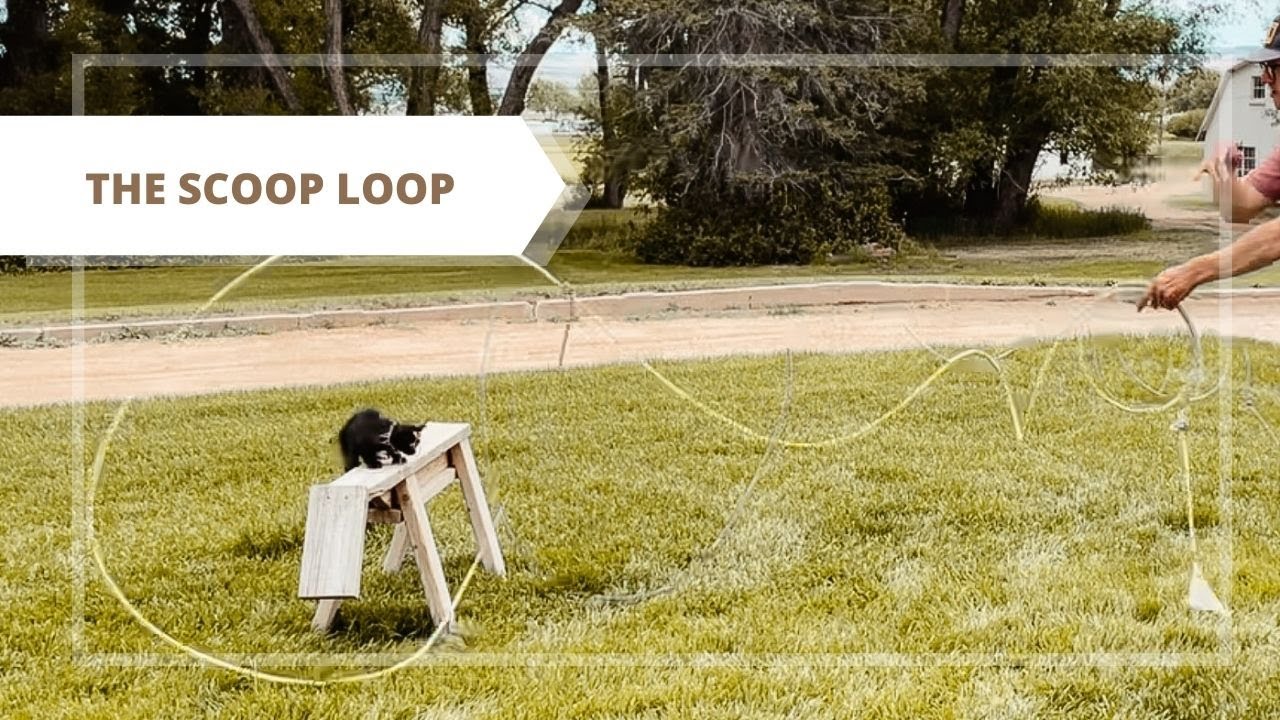 The Scoop Loop