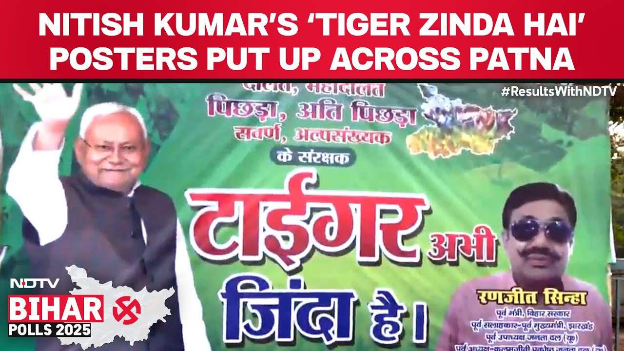 Bihar Results | 'Tiger Abhi Zinda Hai' Featuring Nitish Kumar Ahead Of Bihar Results