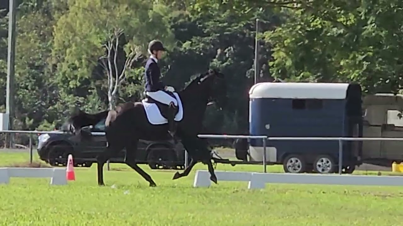 Elementary test 3.1 2023, Bronte Blackwood