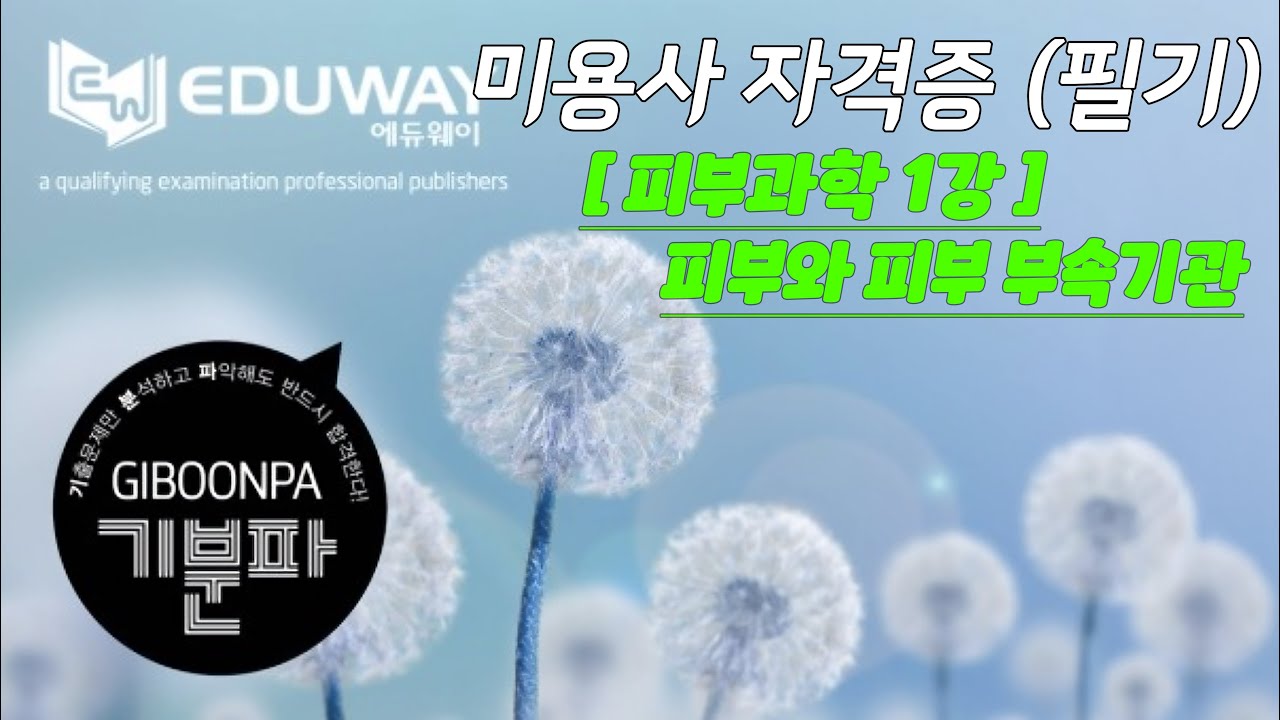 에듀웨이 기분파 헤어미용 필기 자격증 17강 (피부와 피부 부속기관) [피부과학 1강]