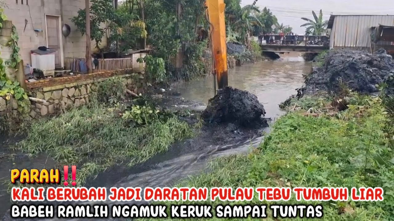 KALI BERUBAH JADI DARATAN‼️ PULAI TEBU TUMBUH LIAR BABEH RAMLIH NGAMUK KERUK SAMPAI TUNTAS