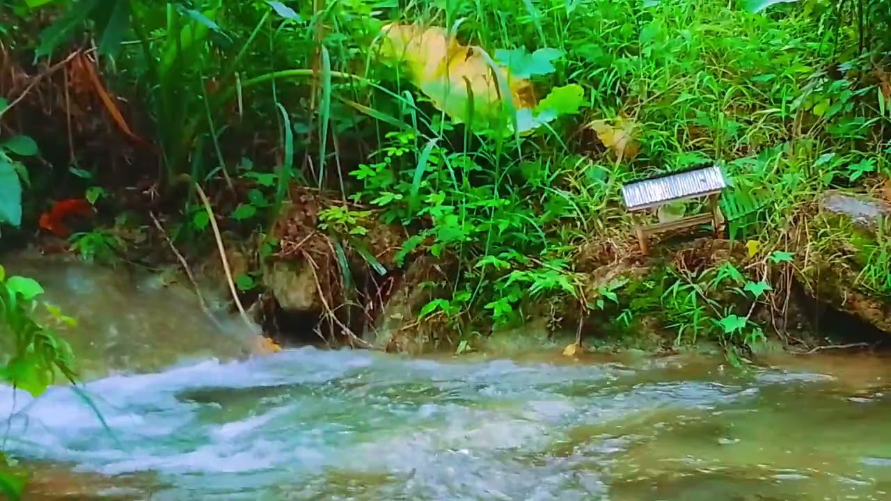 You won't belivehow peaceful this river is