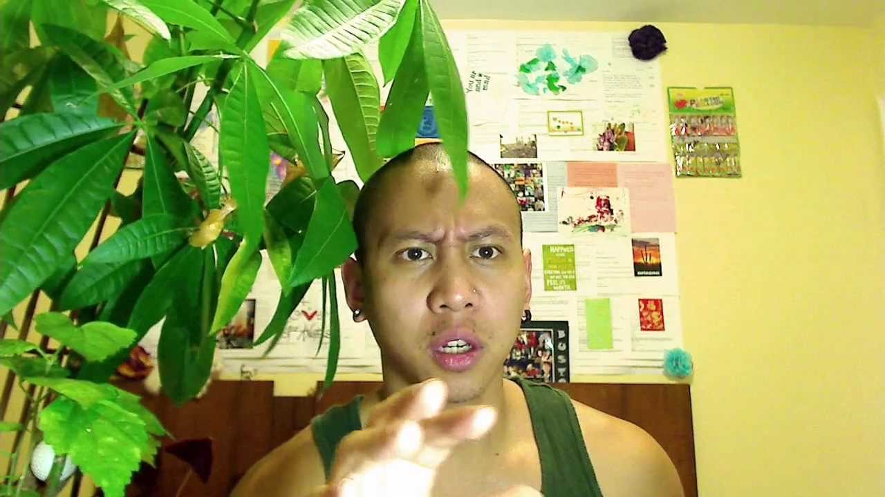 Filipino Wildlife Tutorial by Mikey Bustos