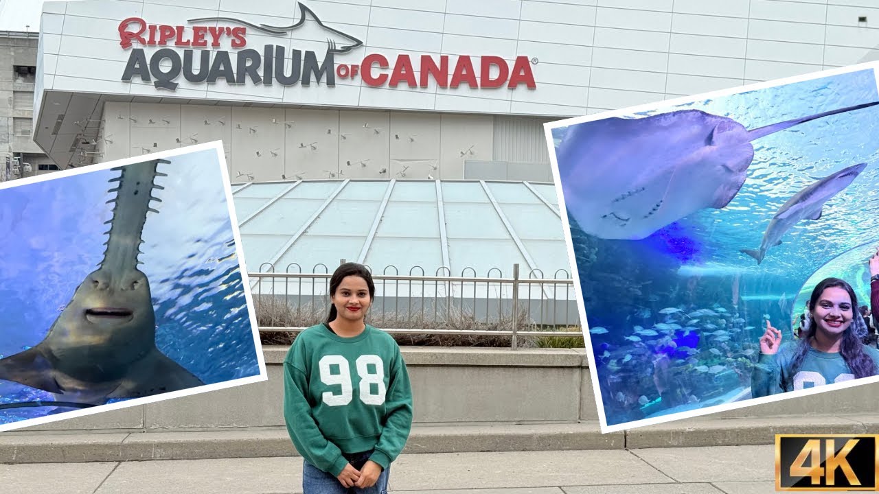 Ripley’s Aquarium of Canada Full Tour | Underwater Tunnel Experience | Sharks Above Your Head