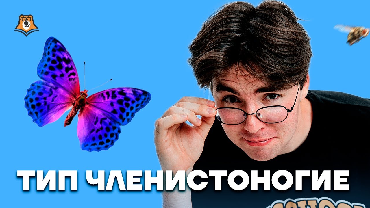 Членистоногие | Биология ОГЭ 2025 | Умскул