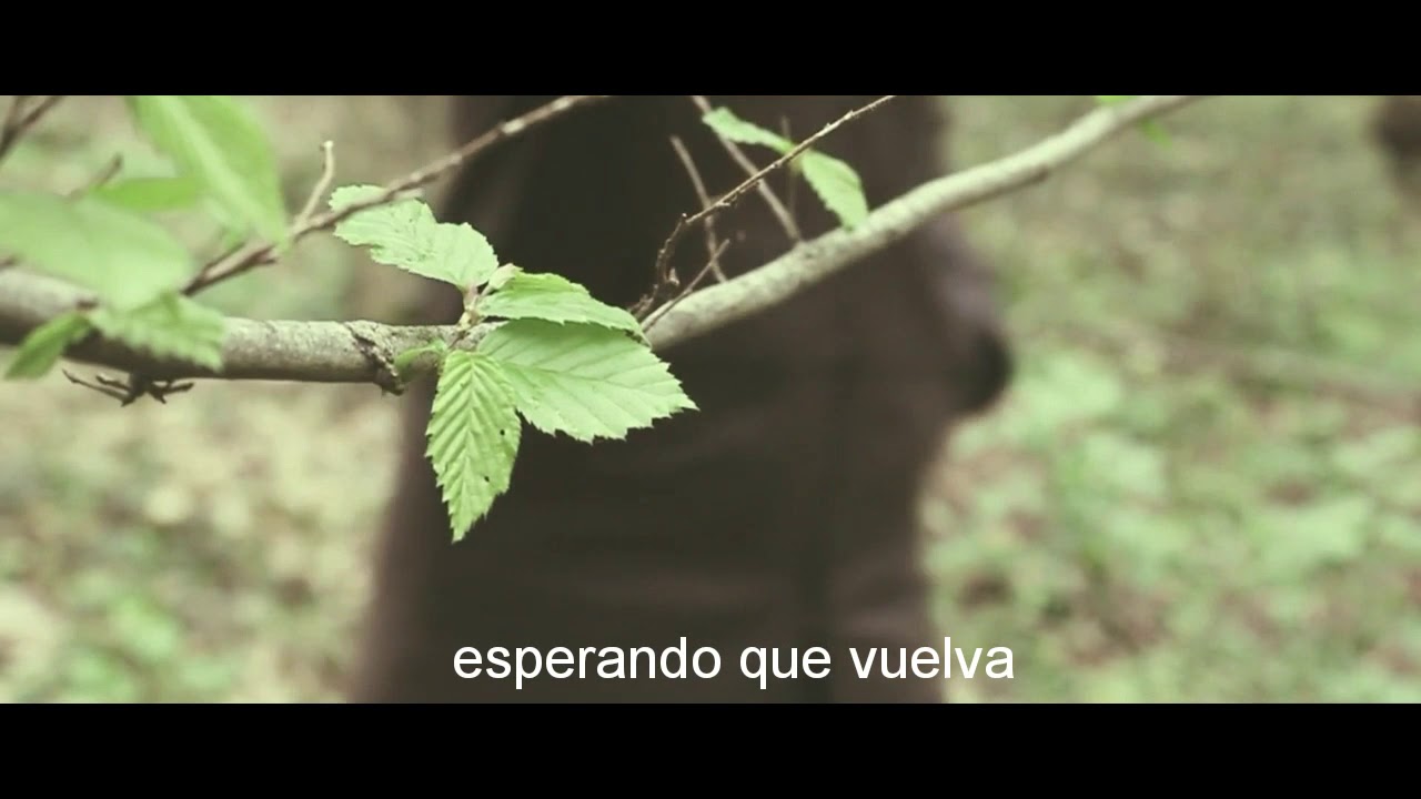 David Rivera- c&oacute;mo pude olvidar