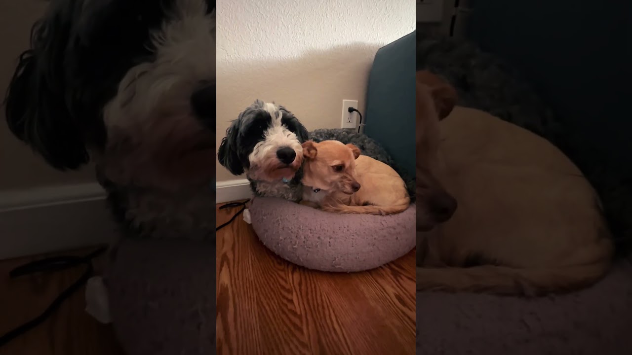 Stay warm during holiday! #cute