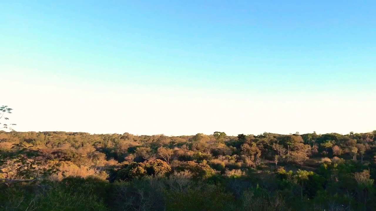 Un D&iacute;a T&iacute;pico en Paraguay I Expatriados Alemanes