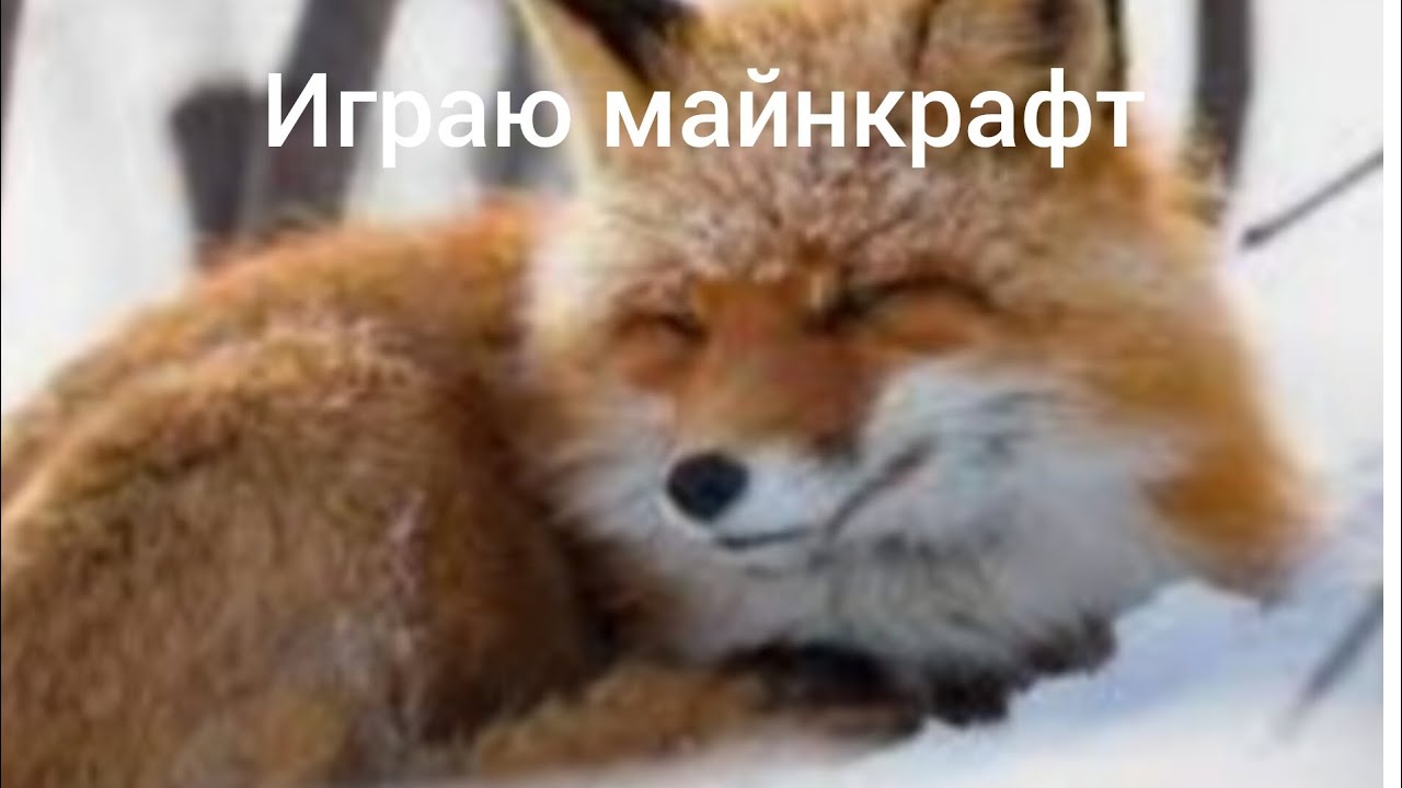 Рум тур на мой дом и комнату майнкрафт