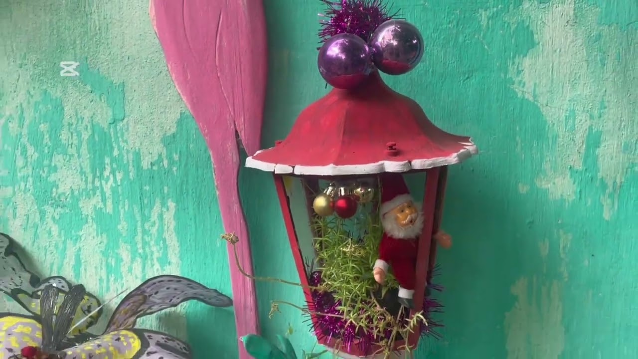 Tour por mi jardín y arreglos navideños no te lo pierdas.