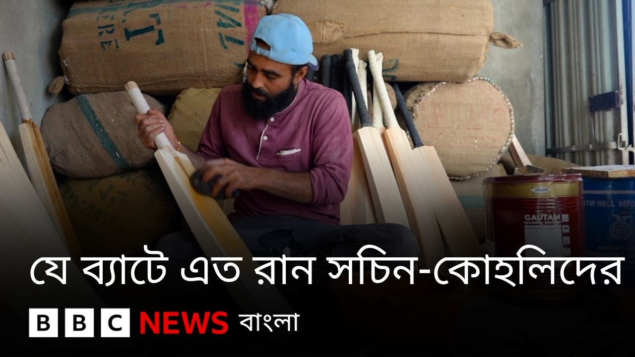 ক্রিকেট ব্যাটে কেন চাই কাশ্মীরের উইলো?  BBC Bangla