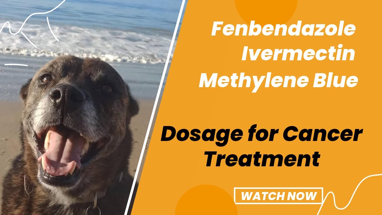 Dog Cancer Dosages: Ivermectin, Fenbendazole, Methylene Blue Explained