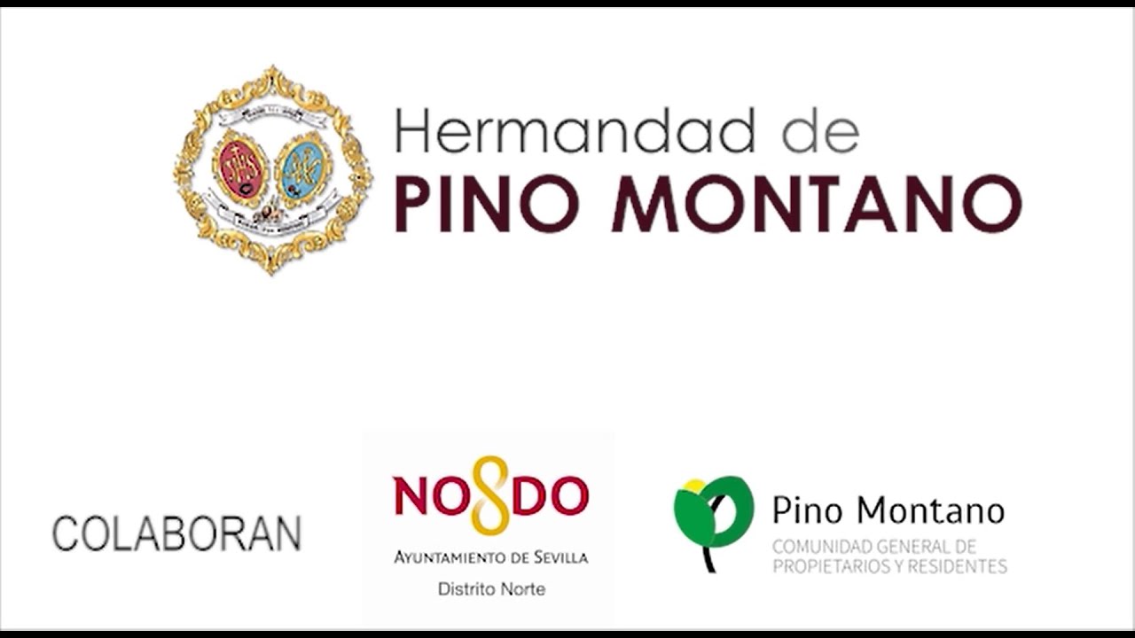 HERMANDAD PINO MONTANO - CAMPAÑA SOLIDARIA - FABRICACIÓN DE MASCARILLAS