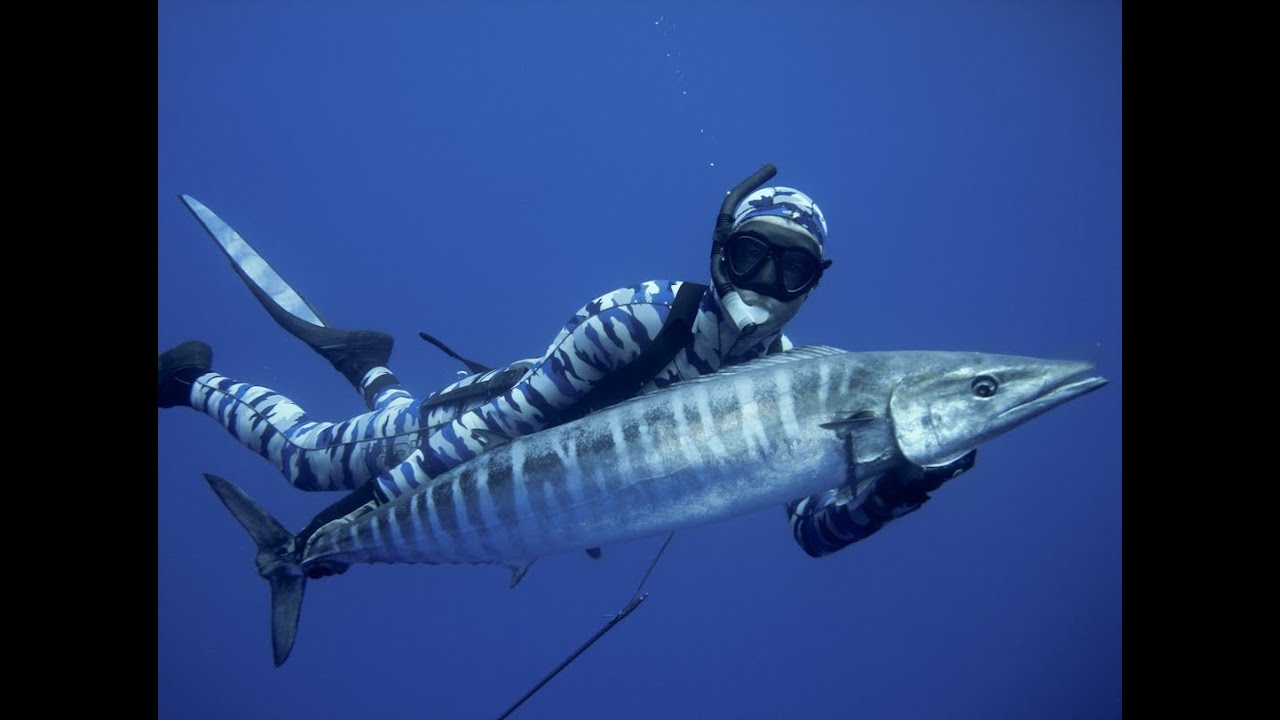 Spearfishing - Pesca Submarina