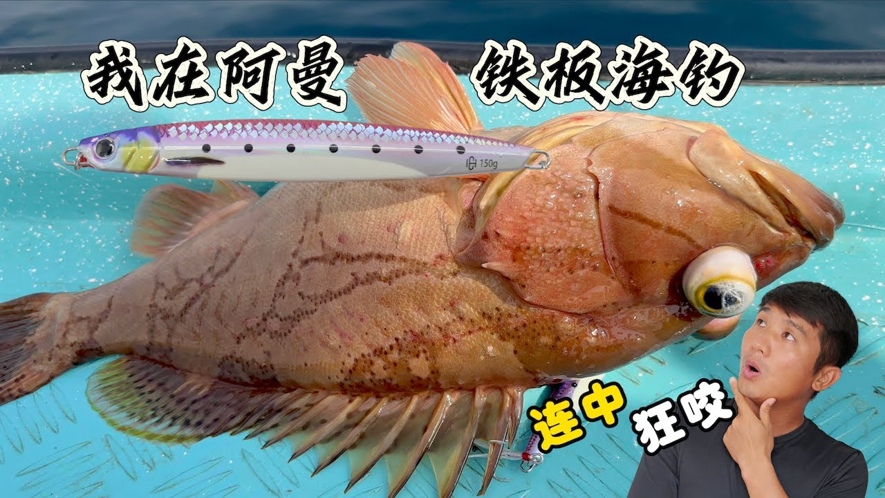《Oman自驾》第6集：水深200米的海域抽铁板，鱼口狂咬 #刺身 #阿曼 #自驾 #海钓 #抽铁板 #铁板海钓 #大石斑