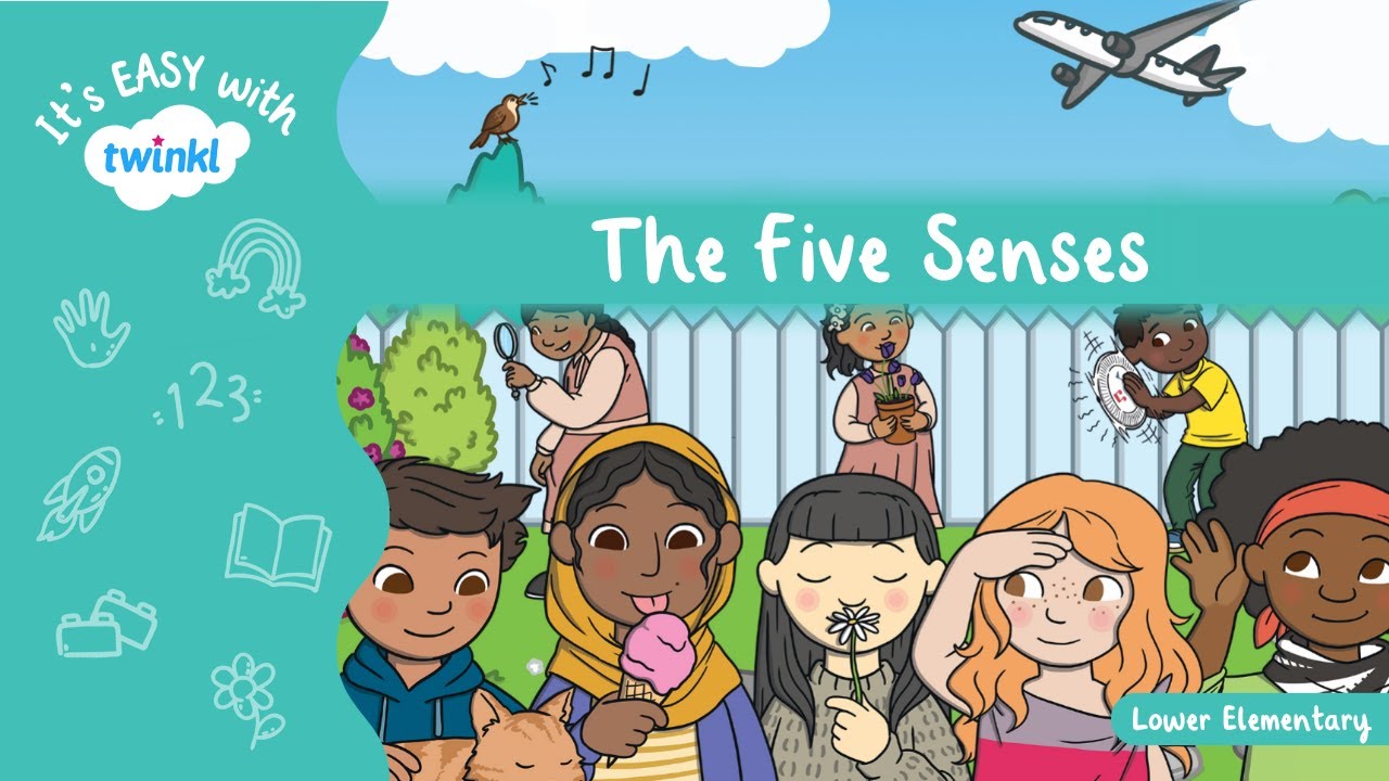 The Five Senses | It's Easy With Twinkl | Twinkl USA