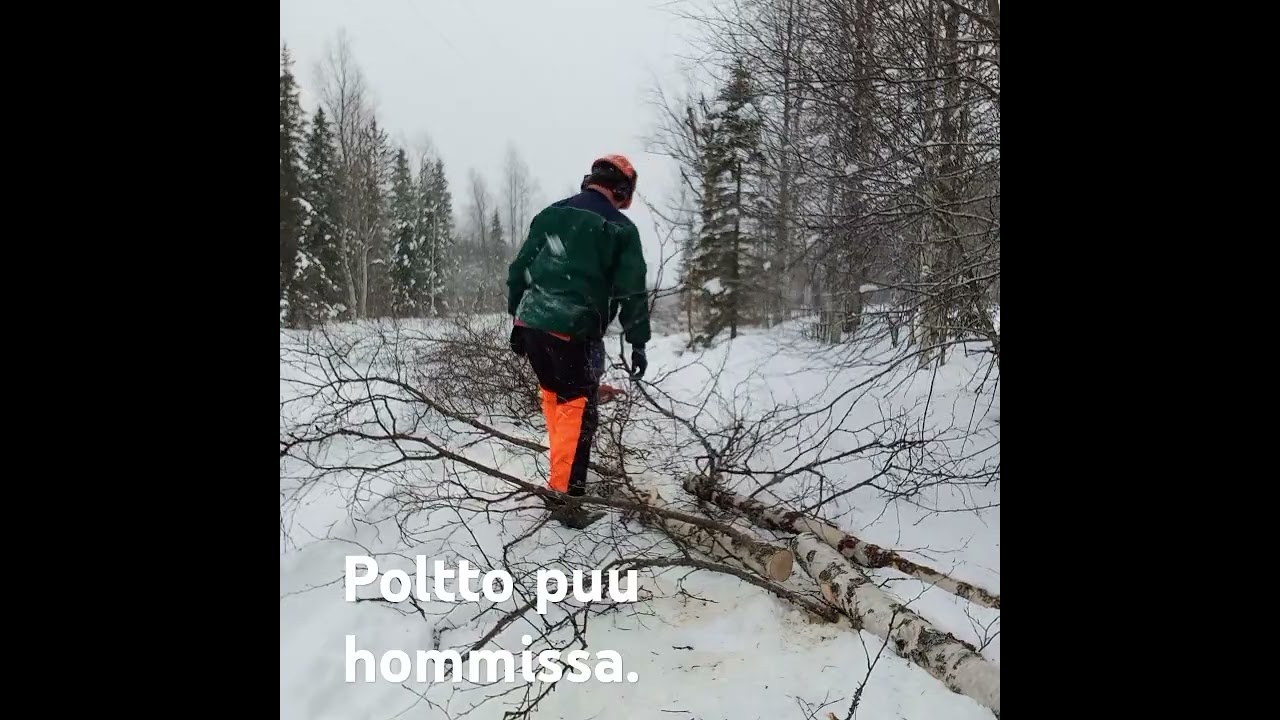 Matti mainio poltto puu hommissa.