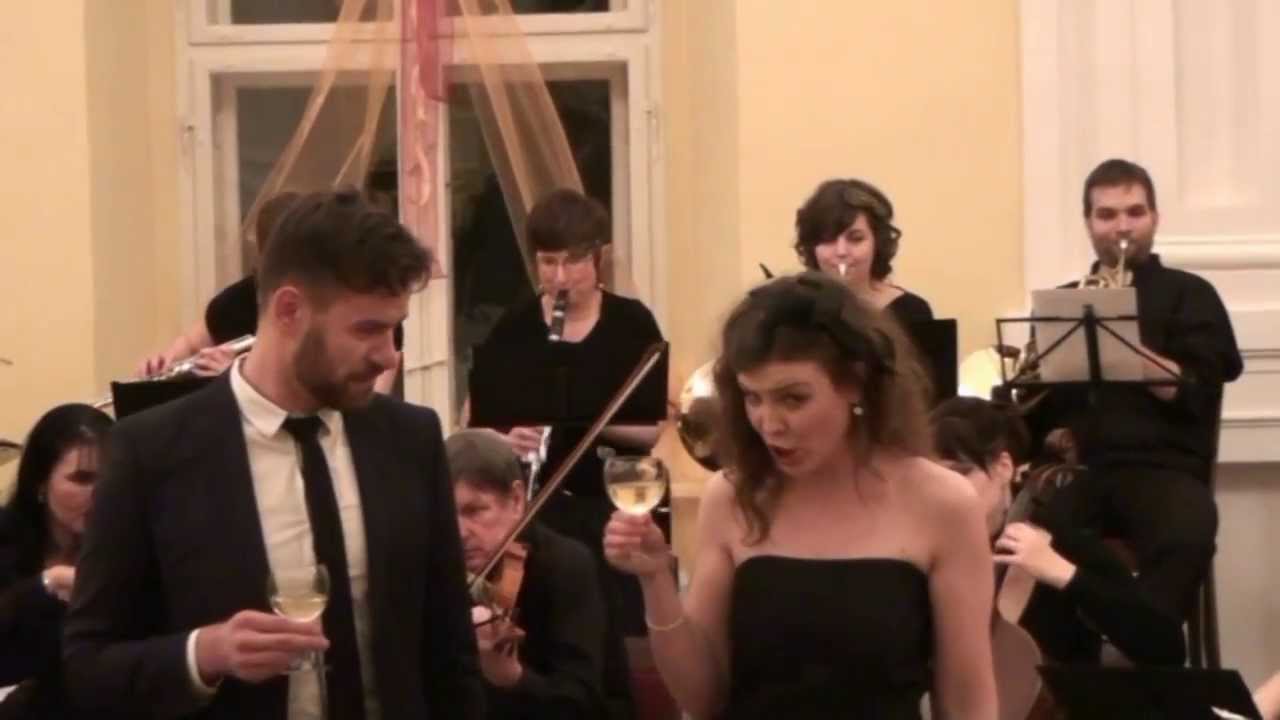 Novoroční koncert města Holešova 2014 - 2