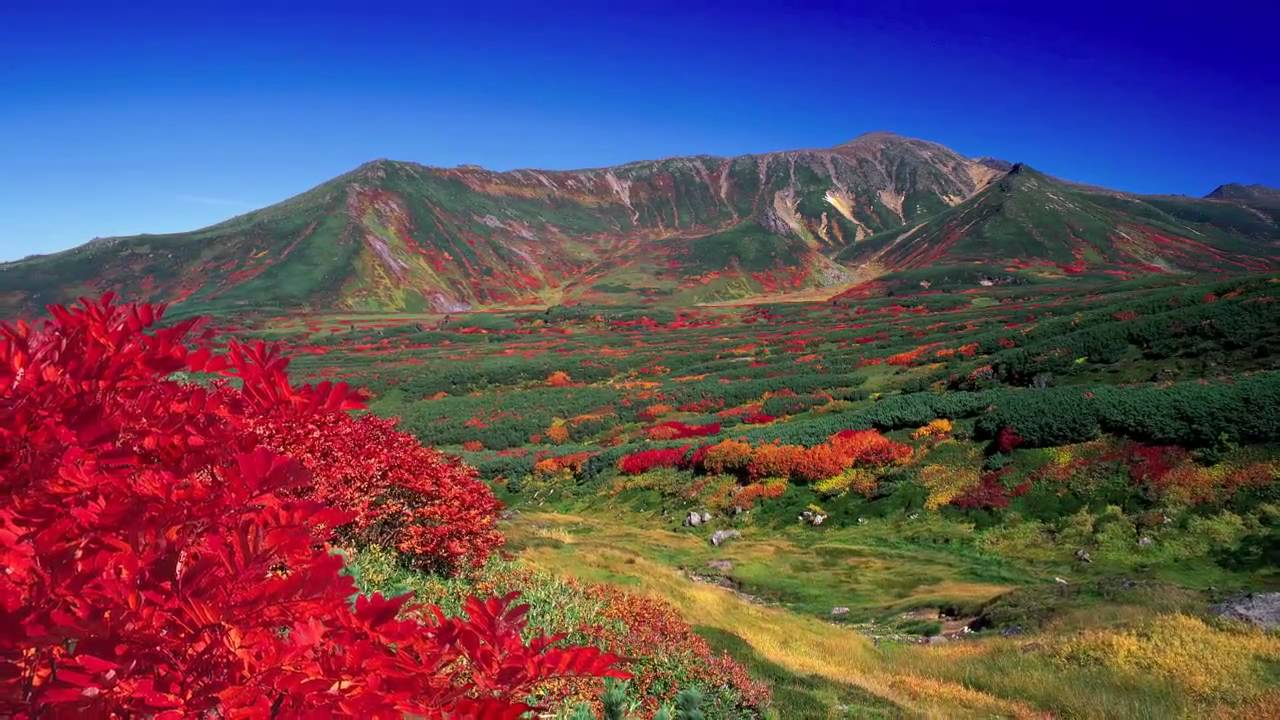 THE NICE VIEW OF HOKKAIDO〜富良野・美瑛・大雪山国立公園  ／ 大地の彩 HD