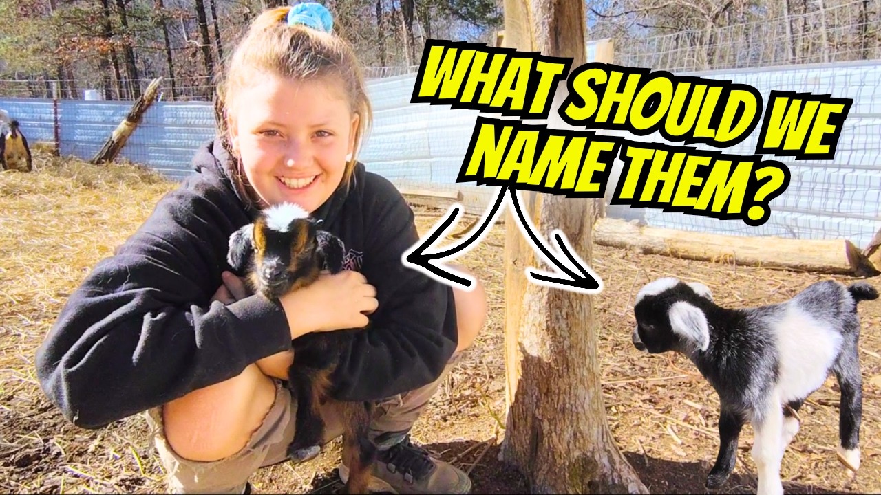 Our Baby Goats Are Here! 🐐 (Help Us Name Them!)February 7, 2026