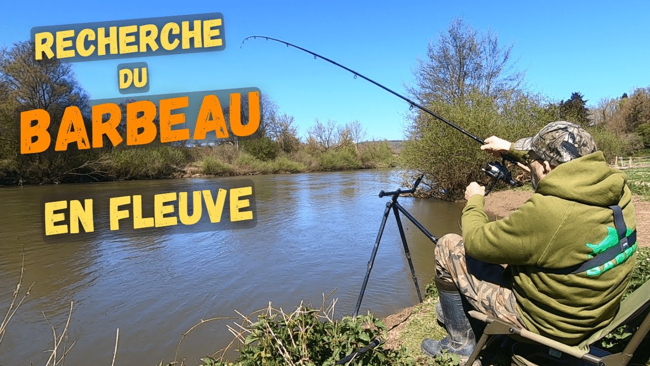 Où tomber sur du Barbeau en Meuse en pêchant le Big Fish ?