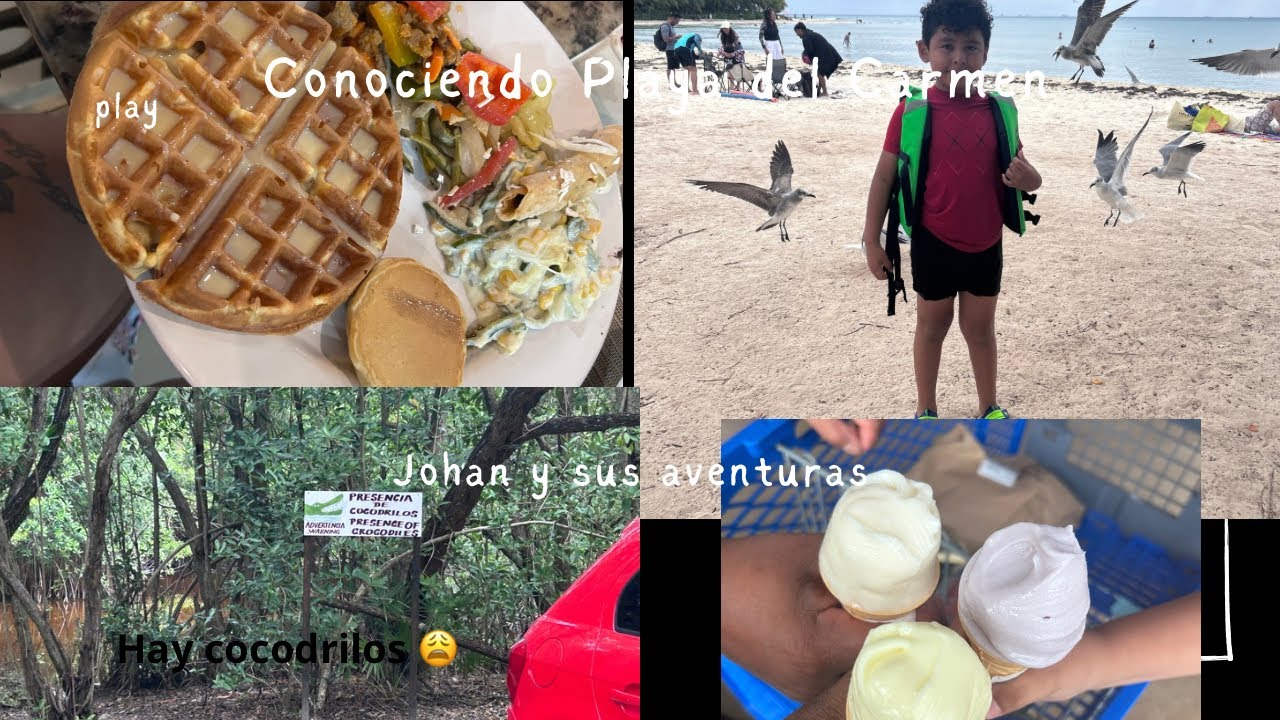 Llegamos a playa del Carmen 😍/buffet en familia/las gaviotas nos robaron la comida/hay cocodrilos