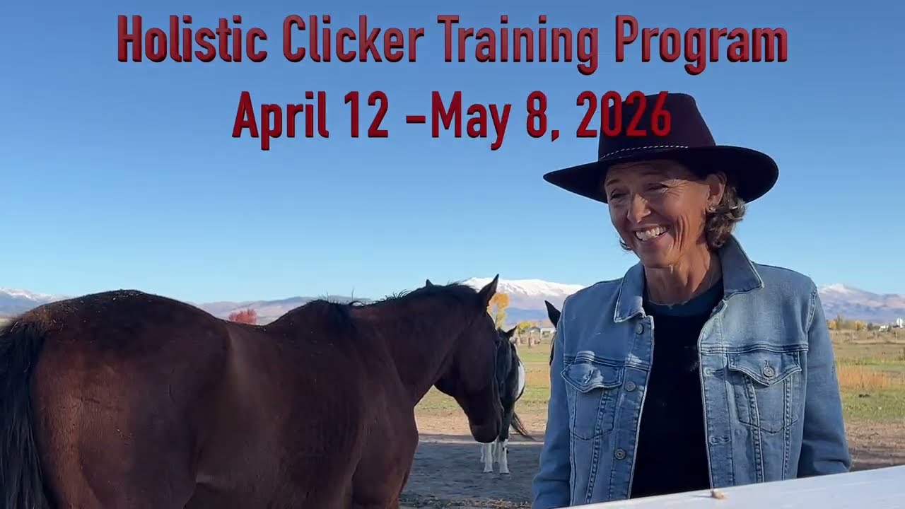Madeline shares her experience from the Holistic Clicker Training Program at Starr Horse Retreats.