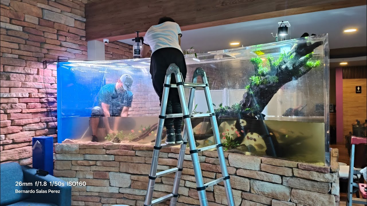 2200lts, reestructuración hacia Acuario Natura.