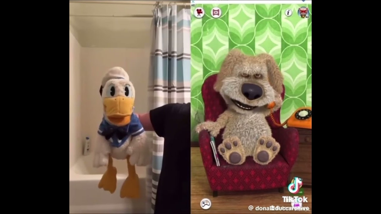 Archived TikTok Donald Ducc videos (Part 1)