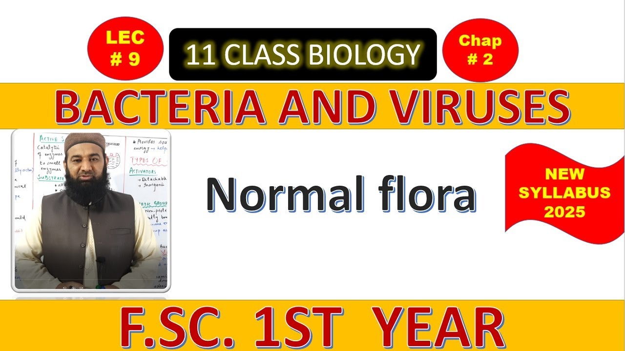 Normal flora | BACTERIA AND VIRUSES | Chapter 2| F.Sc. 1st Year Biology | L#9