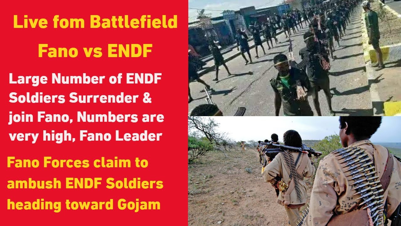 Large Number of ENDF Soldiers Surrender & join Fano, Numbers are very high, Fano Leader Confirm