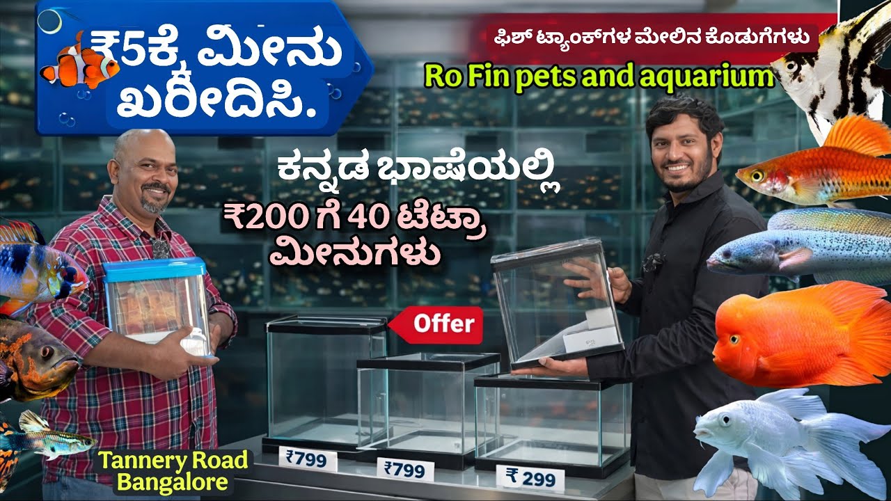 ಮೀನು ಕೇವಲ 5 🤩 & Tank Discounts | Ro fin pets and aquarium tannery road bangalore
