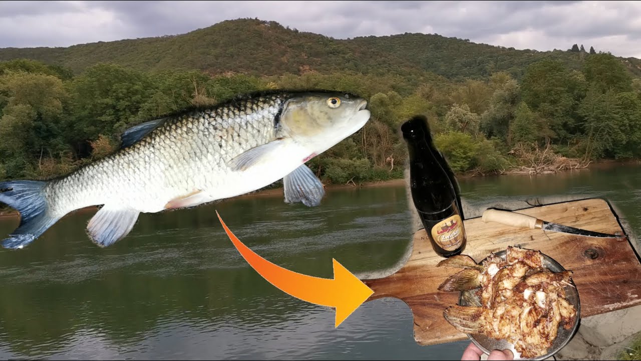Spinnfischen am Rhein / Döbel Catch and Cook
