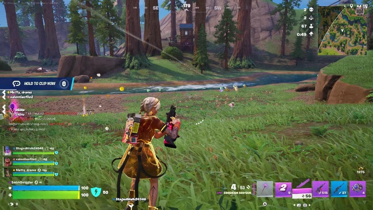 Fortnite Victory Royale!