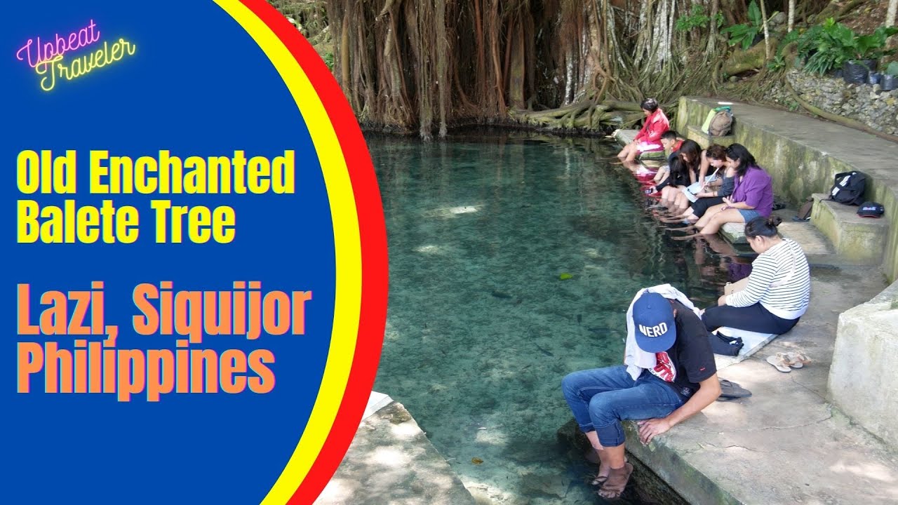 Old Enchanted Balete Tree, Lazi, Siquijor, Philippines (4K)
