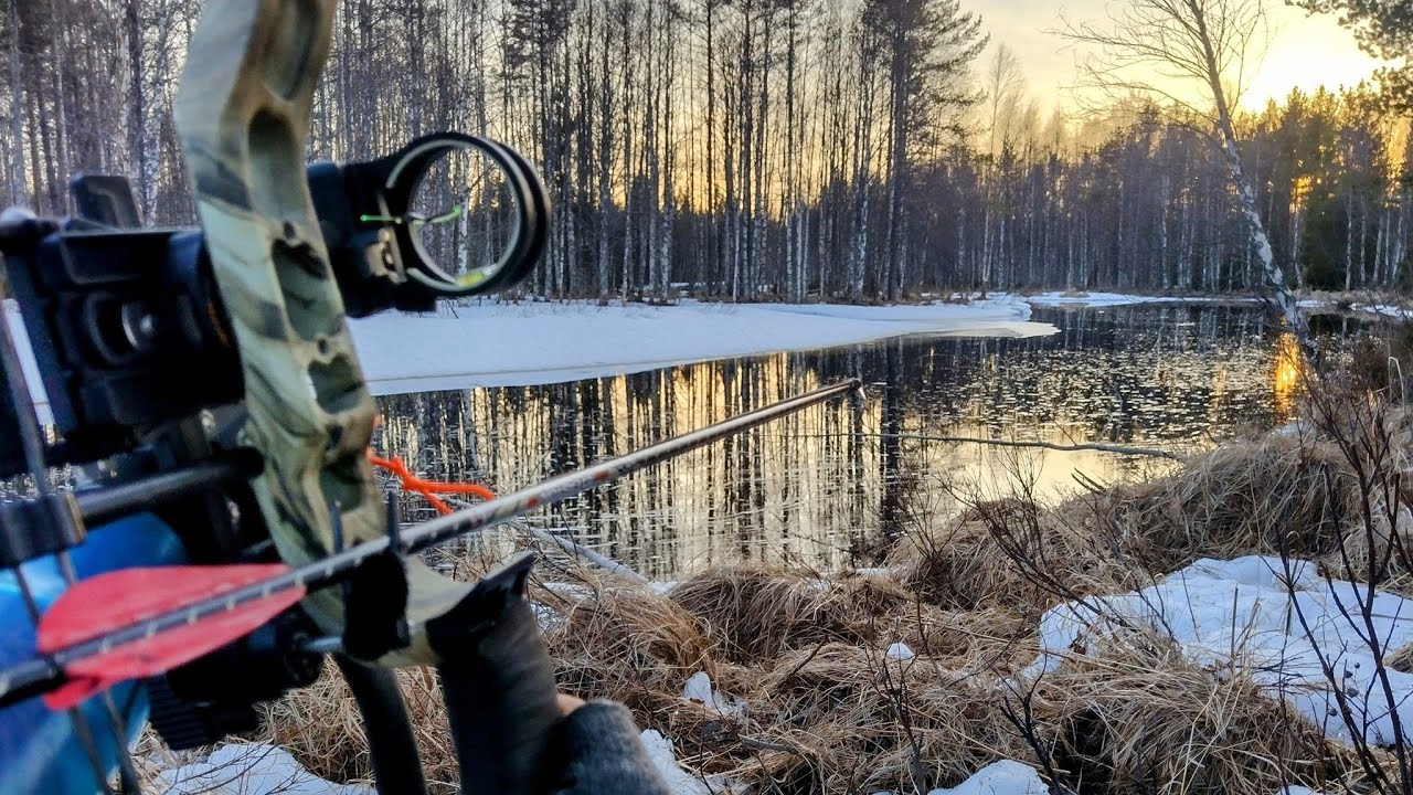 Majavatolskaus 2025, osa 1