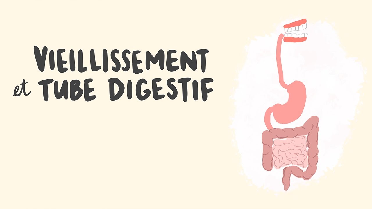 Vieillissement et appareil digestif | Informations importantes pour les aînés