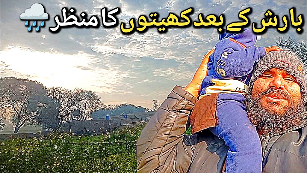 Barish Ke Baad Kheton Ka Khubsurat Manzar | Village Life Pakistan|Asif kolowala vlogs