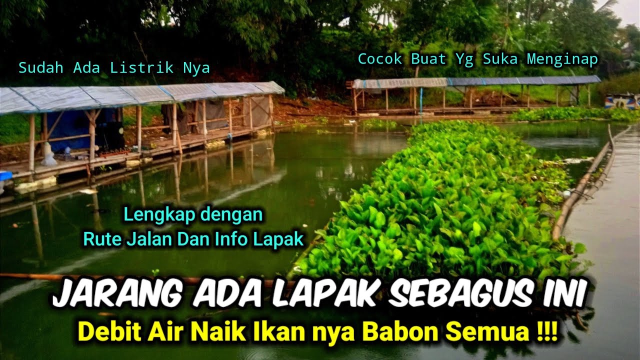 JARANG ADA LAPAK SEBAGUS INI || DEBIT AIR NAIK TAPI IKAN NYA BABON SEMUA || Mancing Saguling Terbaru