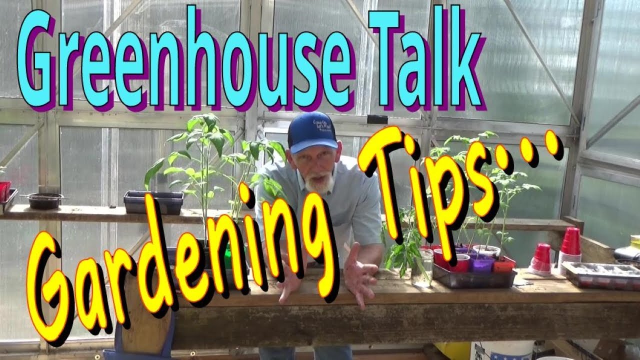 Gardening Tips, Greenhouse Talk, Self Pollinating Vegetables 5-30-2023