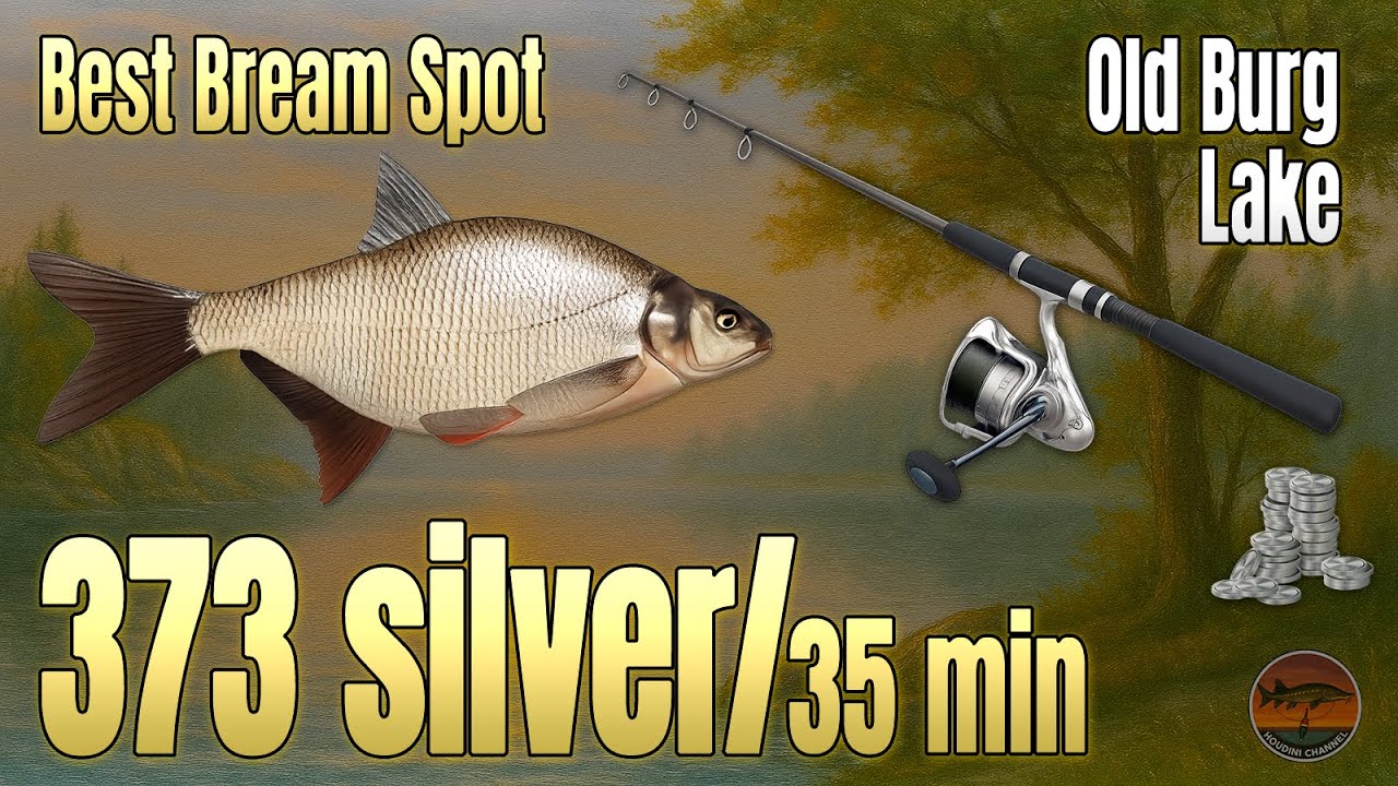 🎣 RF4 Bream Spot 💰 373 Silver in 35 Min | Old Burg Lake Feeder Setup