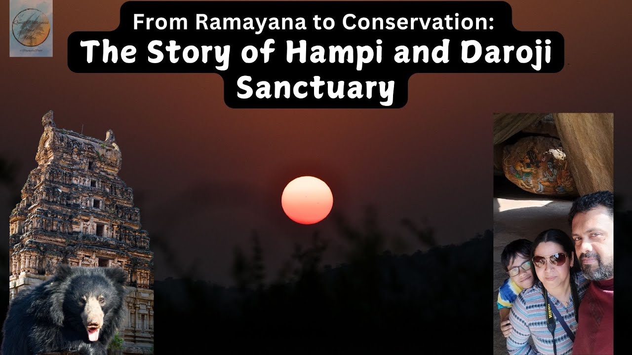 Hampi's Legacy: Bridging Mythology and Wildlife Conservation #hampi #travel #heritage #slothbear