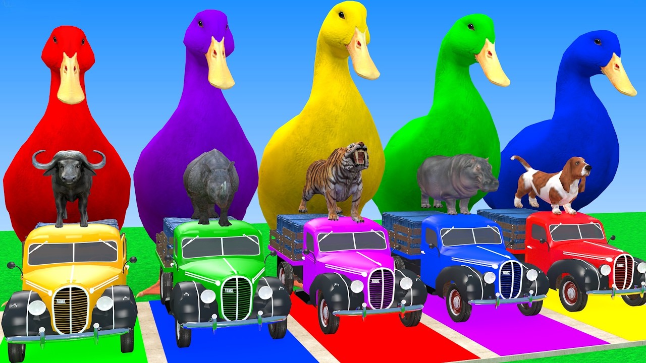 Long Slide Game With Cow Elephant Gorilla Hippopotamus Tiger 3d Animal Game Funny 3d Animals