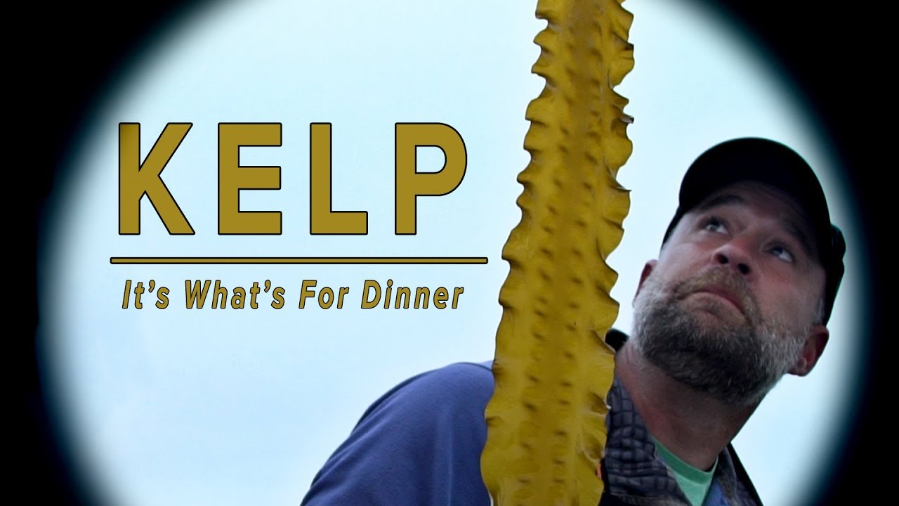 Kelp: It's What's For Dinner