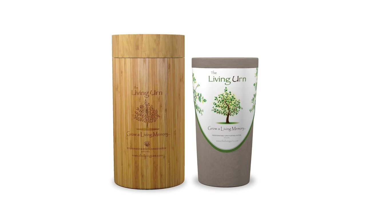 Biodegradable Tree Urn for Ashes