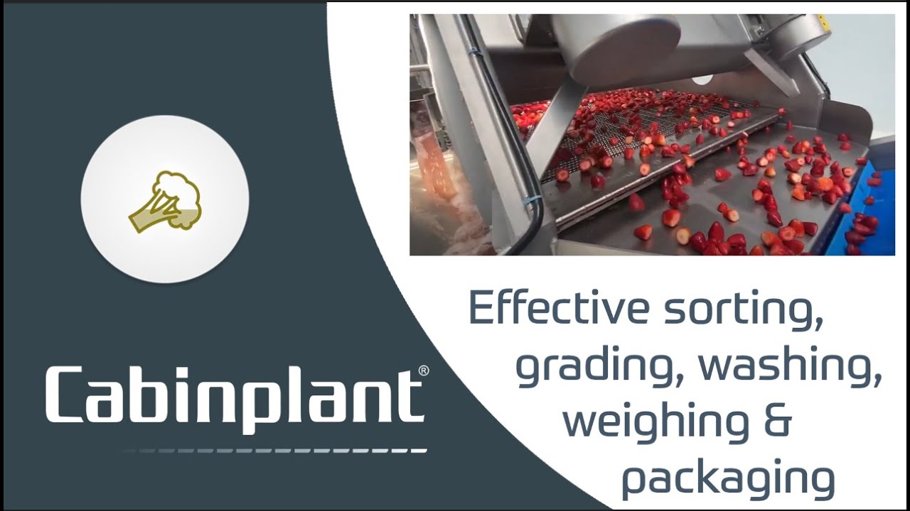 Cabinplan  Individual quick frozen (IQF) Strawberries