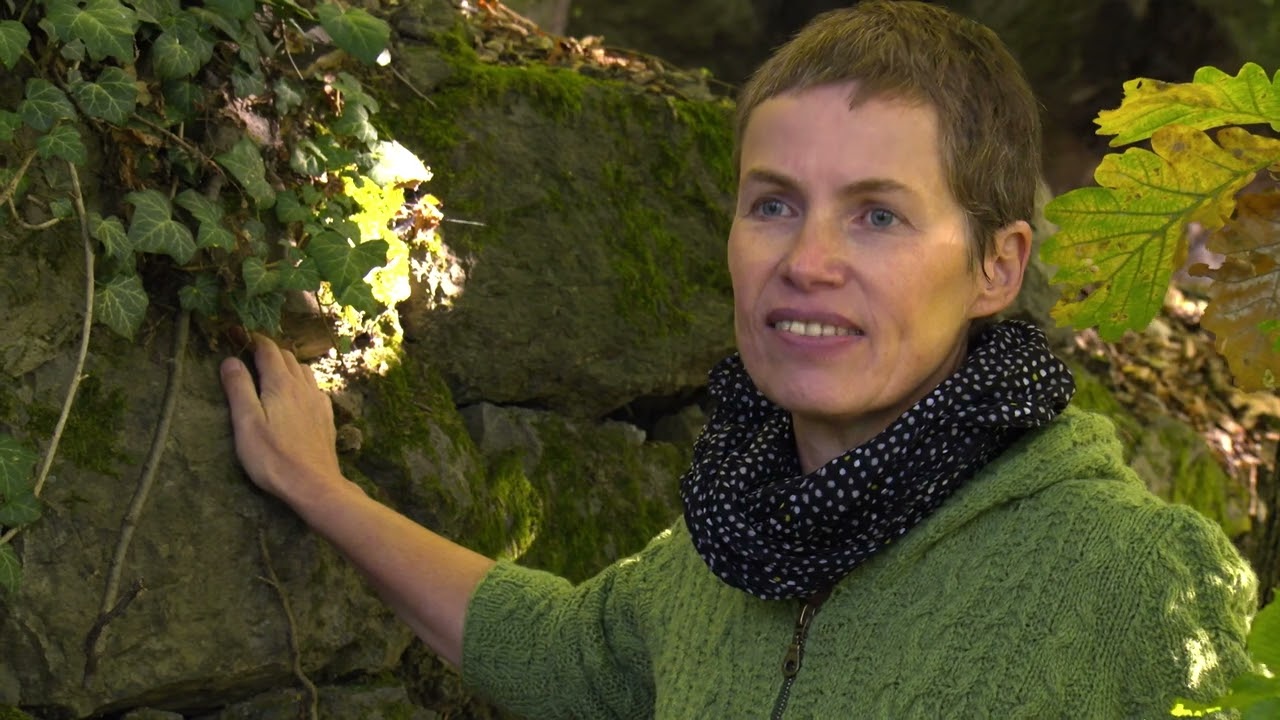 Weinbergsmauern. Zusatzfilm zu 