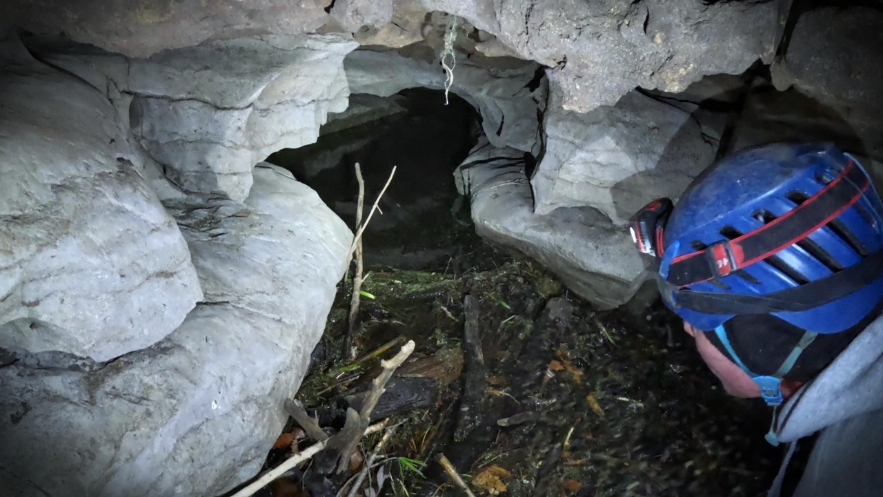 Beavers Built a Dam Inside a Cave — It’s Holding Back a Flood