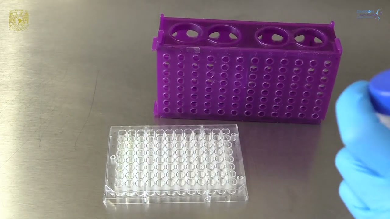Video 11: ELISA  para la cuantificación de insulina
